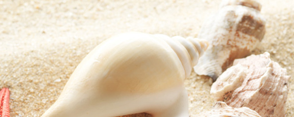 Панно Сиерра Панно Тип 3 серия Сиерра