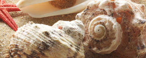 Панно Сиерра Панно Тип 4 серия Сиерра