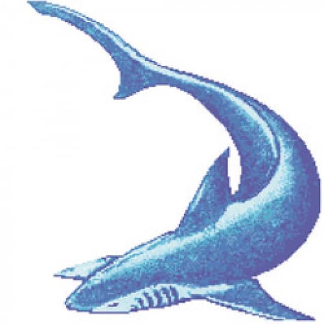 Мозаичное панно Акула