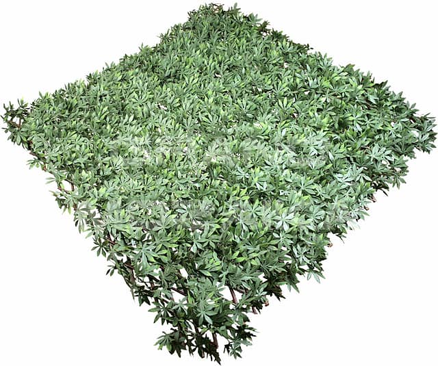 Изгородь деревянная с искусственной листвой