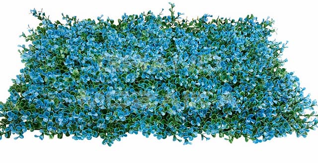 Трава искусственная, Самшит Зелёно-Синий