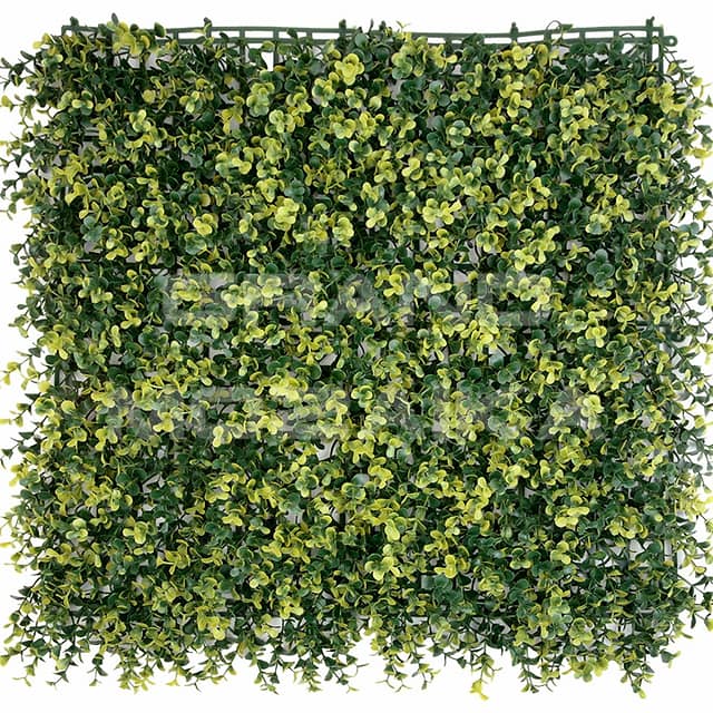 Трава искусственная, Самшит Зелёно-Жёлтый