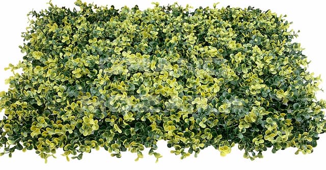 Трава искусственная, Самшит Зелёно-Жёлтый