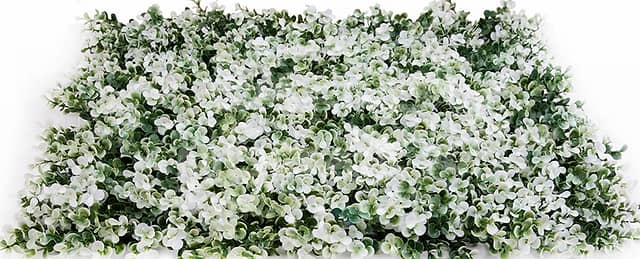 Трава искусственная, Самшит Зелёно-Белый