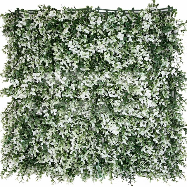 Трава искусственная, Самшит Зелёно-Белый