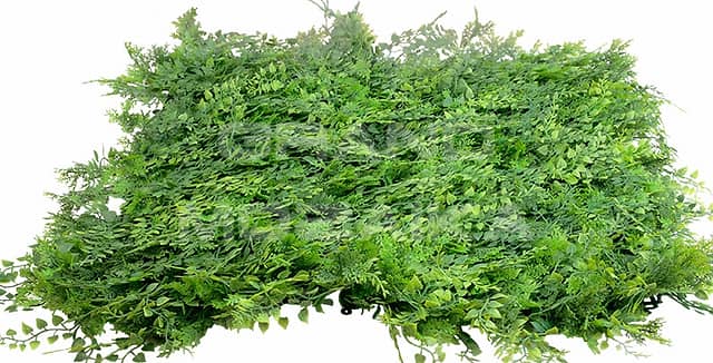 Трава искусственная, Папоротник Зелёный