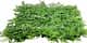 Трава искусственная, Папоротник Зелёный