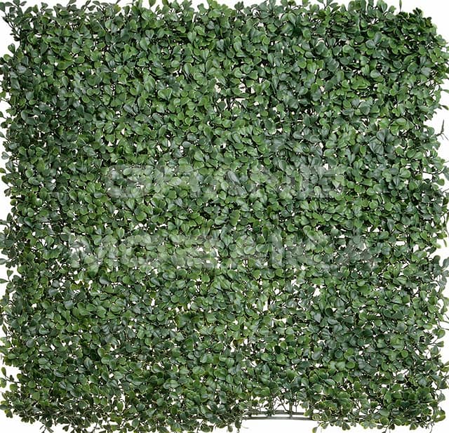 Трава искусственная, Самшит Зелёный