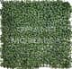 Трава искусственная, Самшит Зелёный