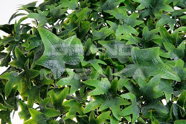 Трава искусственная, Плющ Зелёный