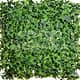 Трава искусственная, Плющ Зелёный