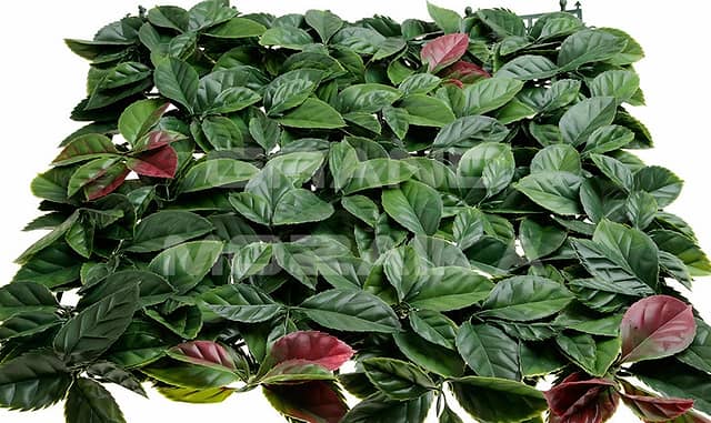 Трава искусственная, Лист магнолии Зелёно-Красный