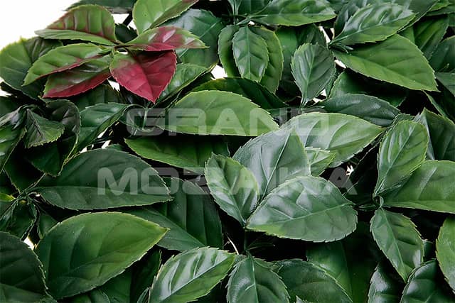 Трава искусственная, Лист магнолии Зелёно-Красный