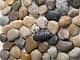 Мозаика из натуральной гальки, серия Seastone