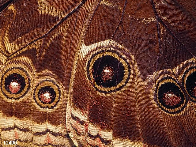 Панно из фотомозаики Узоры